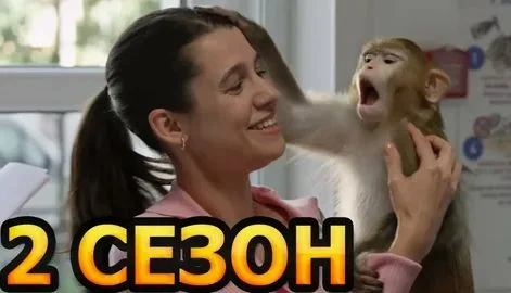 Мои звери 2 сезон (2025)